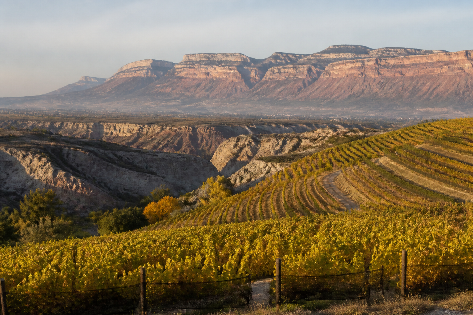 Grand Junction, Colorado at a Glance: Trip Overview