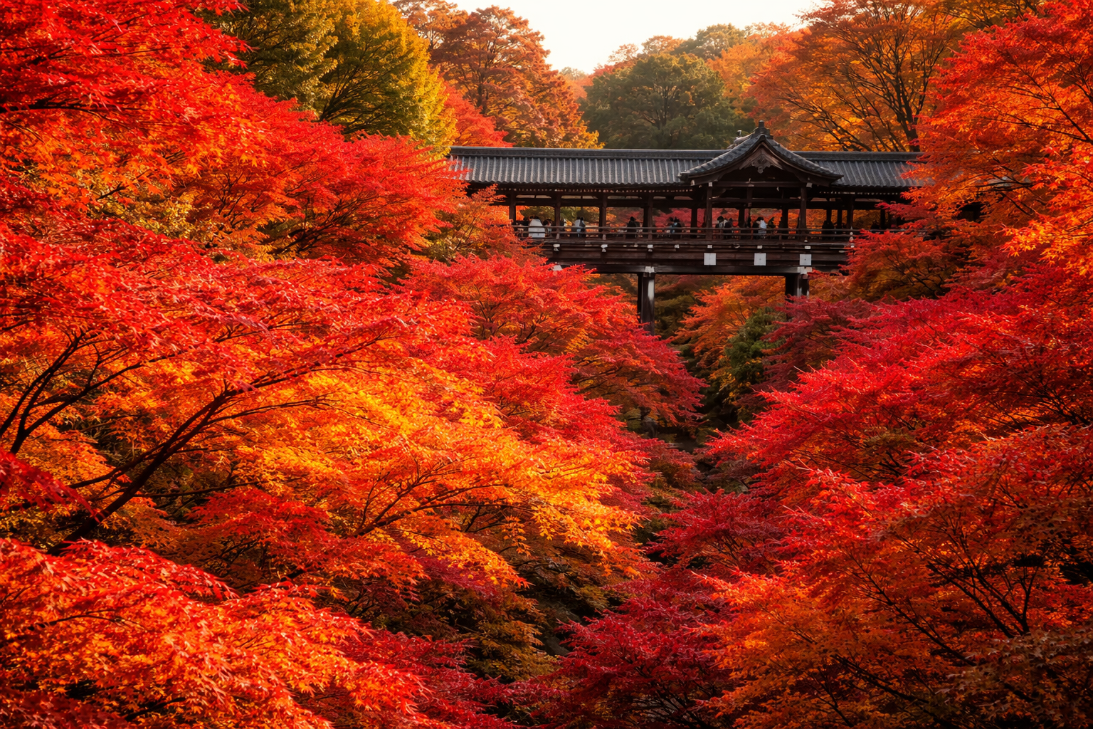 Days 6–9: Kyoto — The Undisputed Capital of Koyo