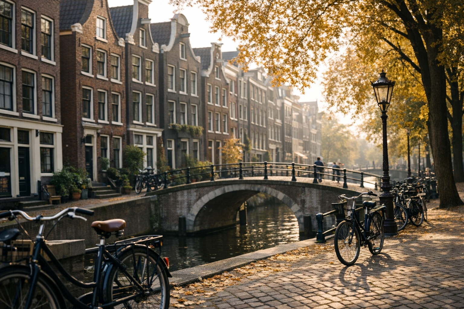 Amsterdam's Neighborhoods: Where to Base Yourself and What to Explore