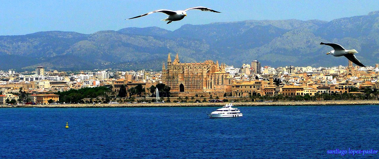 Palma de Mallorca Things to Do and Popular Tourist Attractions