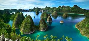 Raja Ampat Diving Spot